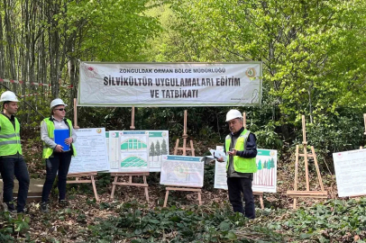 Silvikültür eğitim tatbikatı Yenice’de tamamlandı
