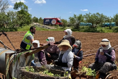 Tarım işçilerini serinleten ikram
