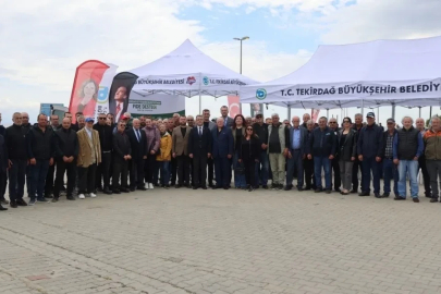 Sebze üreticilerine yarım milyon fide
