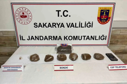 Sakarya’da 2 ilçede uyuşturucu operasyonu: 2 tutuklama
