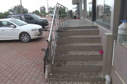 Antalya’da yabancı uyruklu şahıs kedinin üzerine bastı, köpeği tekmeledi
