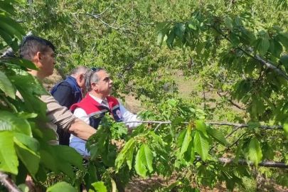 Aydın’da dolu vurdu, zarar gören tarım arazileri yerinde incelendi
