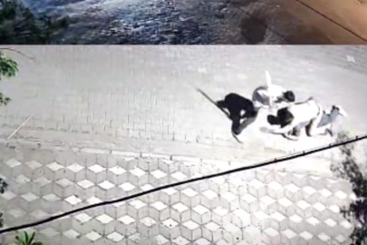 Manisa’da kız meselesi kavgası: 6 yerinden bıçaklandı
