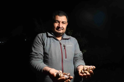 Adana’da salyangoz mesaisi: Kilogramı 35 lira
