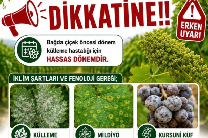 Bağlarda üreticilere ilaçlama uyarısı
