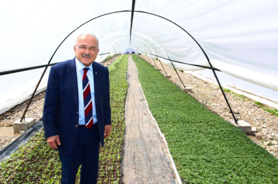 Başkan Güler: "Kendi ürettiğimiz çiçekler ile şehrimizi güzelleştiriyoruz"
