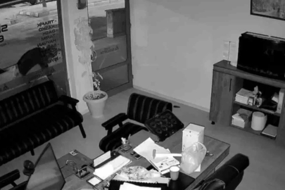 İş yeri önündeki saksıdaki çiçekleri söküp alıp gitti
