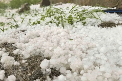 Muş’ta dolu yağışı etkili oldu
