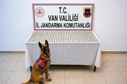 Van’da 8 İranlı’nın midesinde 3 kilo esrar ele geçirildi

