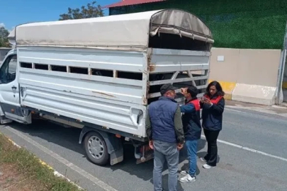 Elazığ’da Kurban Bayramı öncesi hayvan sevklerine sıkı denetim
