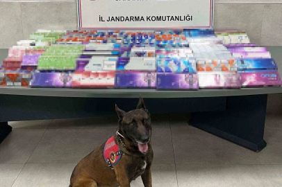 Sakarya’da kaçakçılığa jandarma izin vermiyor
