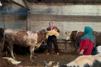 Ordu’da kurbanlık hayvan pazarlarında hareketlilik başladı
