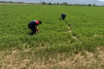 Aydın’da kuraklıkla mücadele çalışmaları sürüyor
