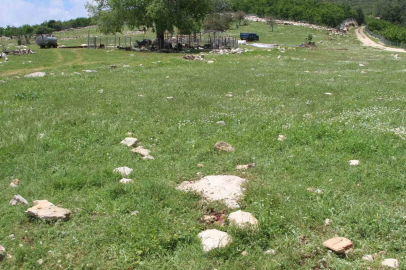 Katilin intihar ettiği yer görüntülendi: "Fail kaçamayacağını anlayınca intihar etmiş"
