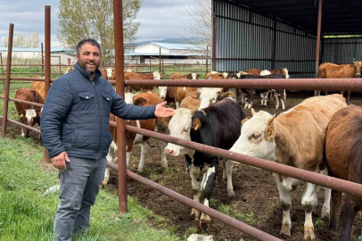 Eskişehir’de büyükbaş kurbanlık bitti, üreticinin yüzü güldü
