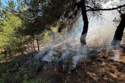 Bilecik’te ormanlık alanda yangın çıktı
