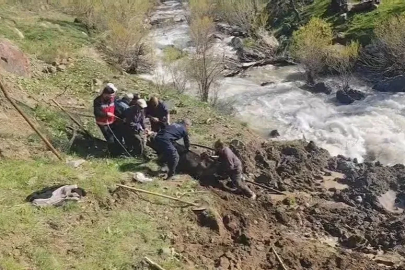 Hakkari’de bataklığa saplanan inek kurtarıldı
