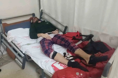"Türk Örümcek Adam" yılan otu nedeniyle hastanelik oldu
