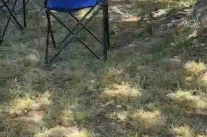 Bursa’da sarı yılan paniği
