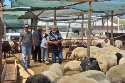 Didim’de kurbanlıklar satışta
