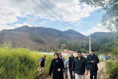 Bilecik’te büyük yangın sonrası yaralar sarılıyor
