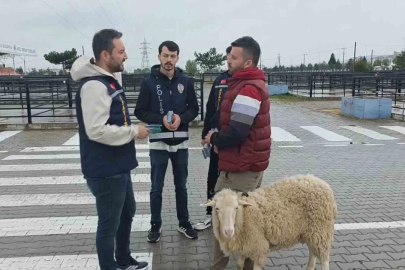 Kütahya’da kurbanlık pazarında sahte para ve dolandırıcılık uyarısı
