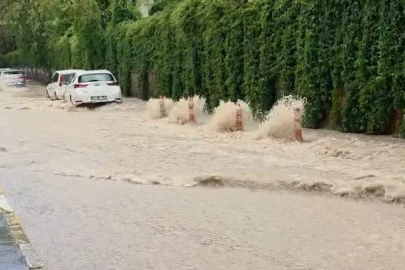 Elazığ’da sağanak yağış etkili oldu
