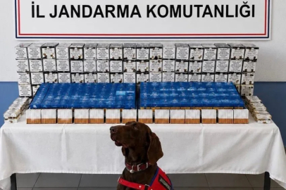 Bolu’da kaçakçılık operasyonu: 2 gözaltı
