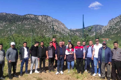 Eğirdir’de budama ve aşılama kursuna yoğun ilgi
