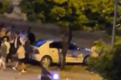 Otomobil, sulama kanalı korkuluğuna çarpıp asılı kaldı
