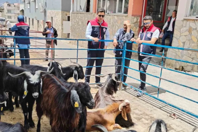 Bozdoğan’da kurban satış yerleri denetlendi
