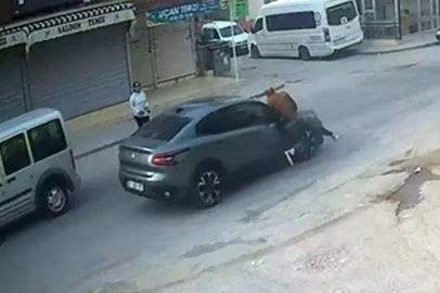 El sallayıp karşıya geçmek isterken otomobil çarptı
