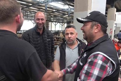 Kurban pazarında güldüren anlar :Mali Polis çetin pazarlığa dahil oldu
