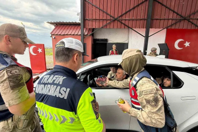 Diyarbakır’da jandarma ekipleri Kurban Bayramı öncesi trafik uygulaması yaptı
