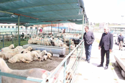 MESOB Başkanı Keskin: "Canlı Hayvan Pazarı yeniden kamu malı olmalı"
