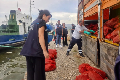 İzmir’de yasa dışı su ürünleri avcılarına ağır darbe: 7 ton kaçak midye ele geçirildi
