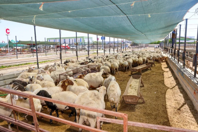 Selçuklu bayrama hazır
