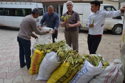 Yaylalardan toplandı, tezgâhlarda satışa sunuldu
