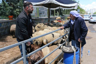 Kurban pazarında sessizlik: Satıcılar son günleri bekliyor

