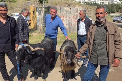 Bayram öncesi hayvan pazarına ilgi arttı

