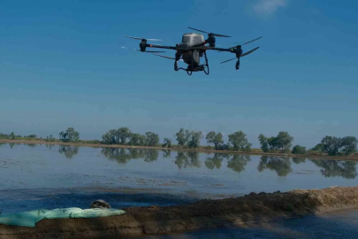 Dron ile çeltik ekimi
