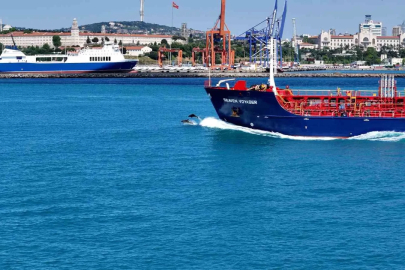 İstanbul Boğazından yunus sürüsüyle Kurban bayramı manzarası
