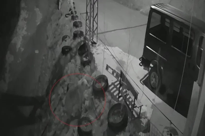 Bayburt’ta köye inen aç ayı kurdun tavşanı kovaladığı noktada yiyecek aradı
