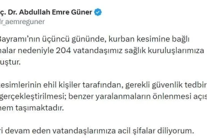 İstanbul İl Sağlık Müdürü Güner: "Kurban Bayramı’nın üçüncü gününde 204 kişi yaralandı"
