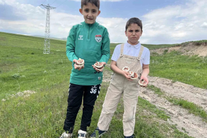 Kars’ta mantar bereketi: Çocuklar doğada hem eğlendi hem topladı
