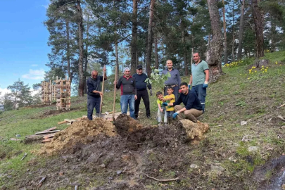 Köylülerden örnek davranış: 600 fidan toprakla buluştu
