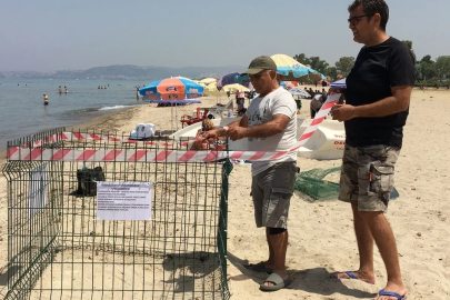 Aydın kıyıları deniz kaplumbağaları için yeni yuvalama merkezi oldu
