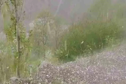 Erzurum’da ceviz büyüklüğünde dolu yağdı
