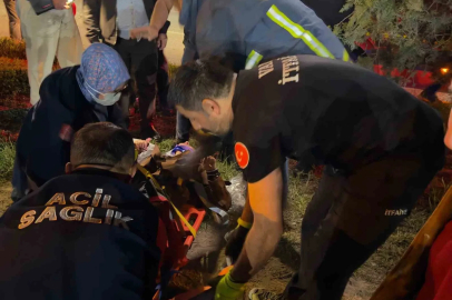 Van’da trafik kazası: 8 yaralı
