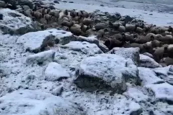 Mayıs sonunda Kars’a kış geri döndü, eksi 5 derecede kar sürprizi
